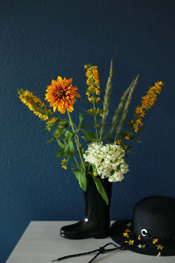 Photograph by Анастасия Ярмак