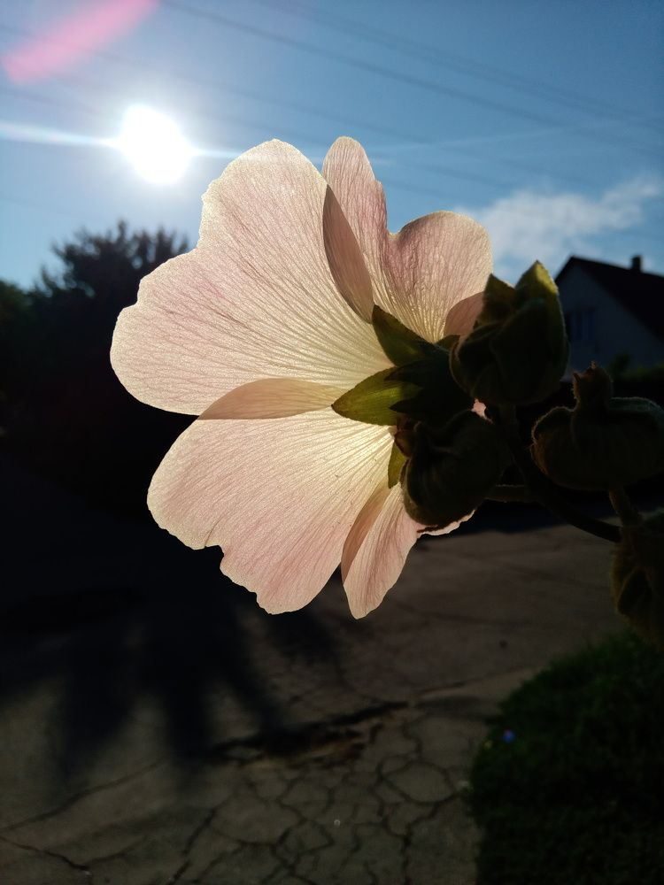 Photograph by Татьяна Пальчикова