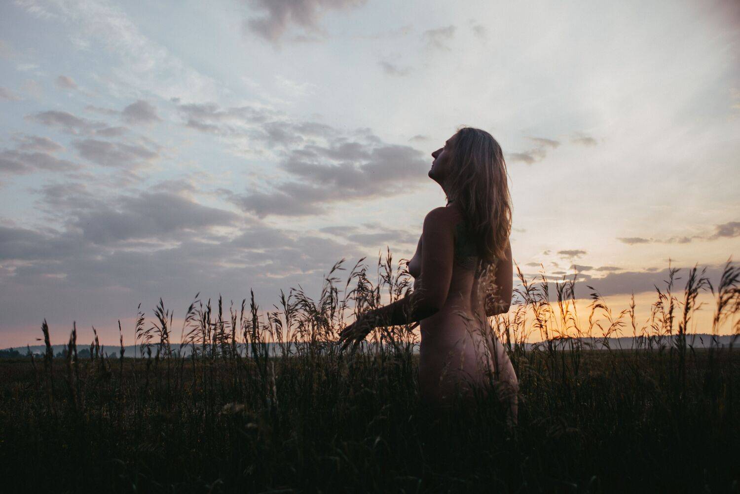 Photo #7883709
