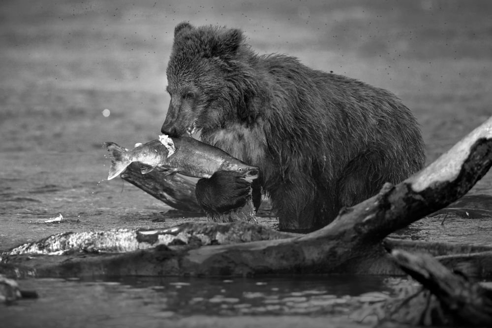 Удачный день