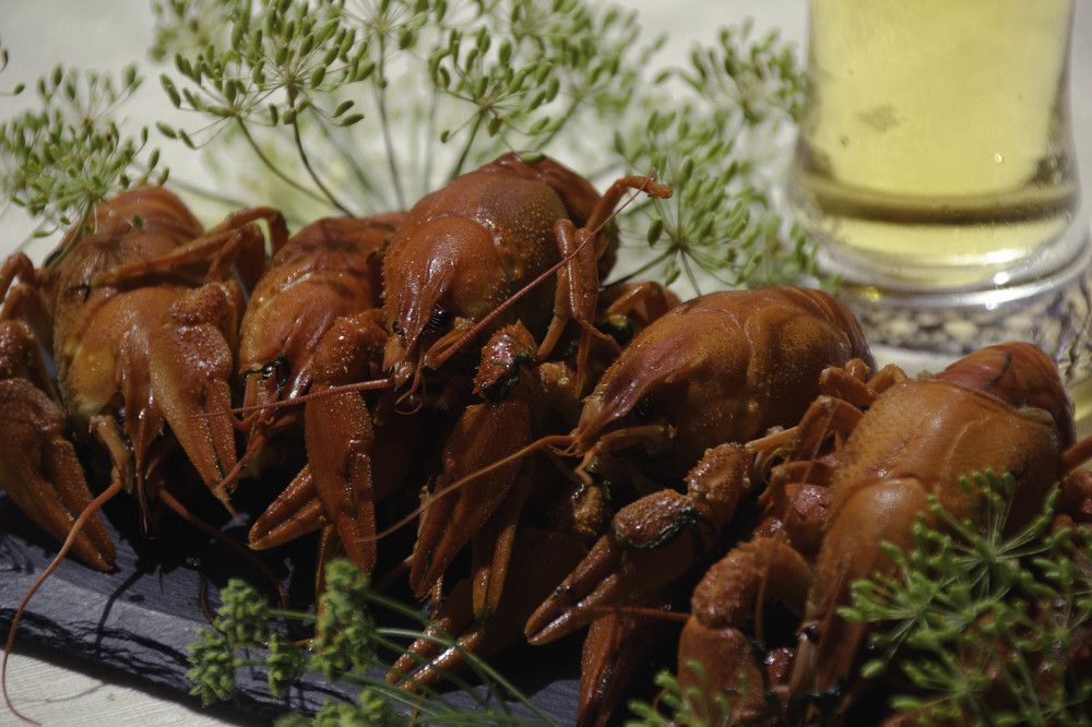 Фотография автора OXANA MARSOVA