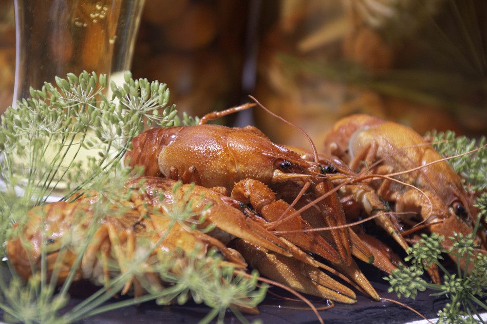 Фотография автора OXANA MARSOVA