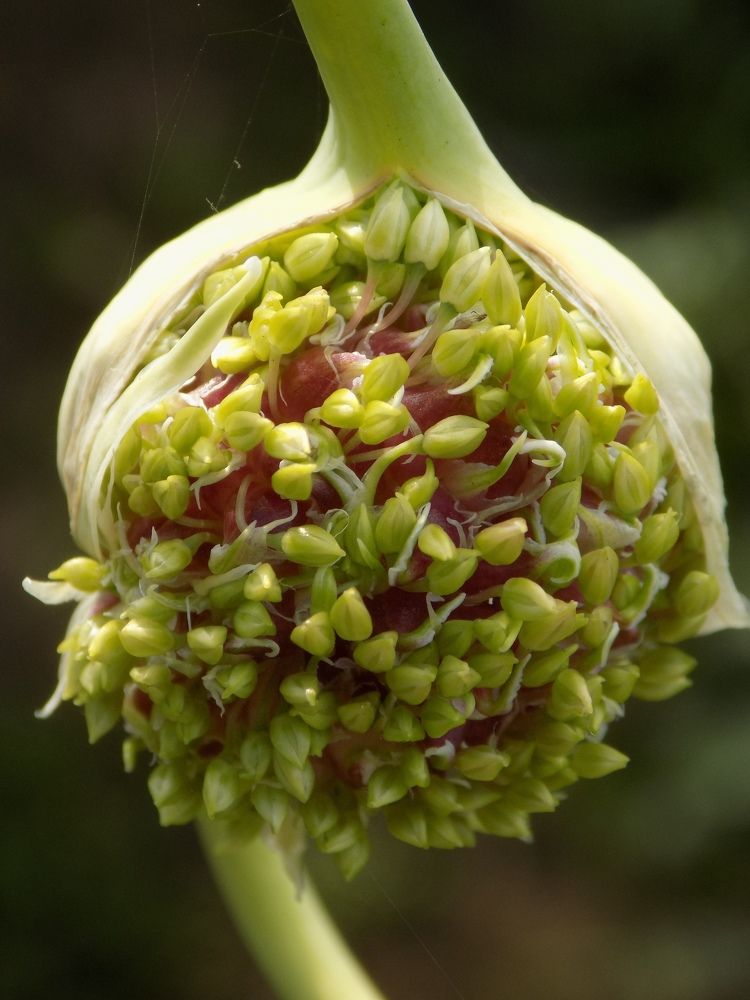 Photograph by Валентина Смирнова