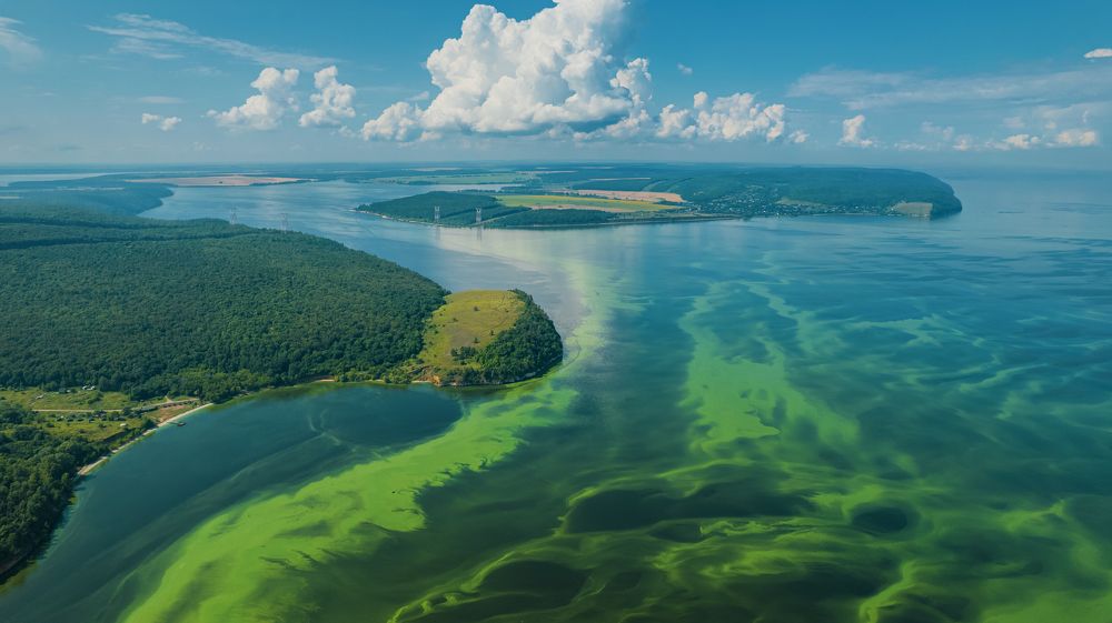 Photograph by Антон Литвинцев