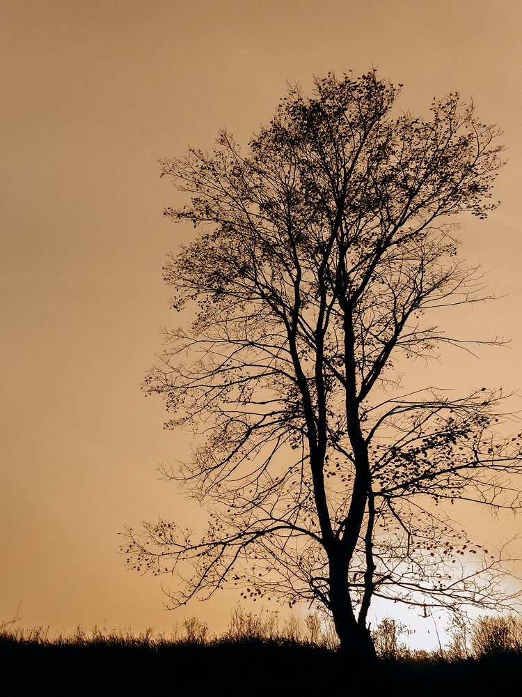 Photograph by Ирина Фатеева