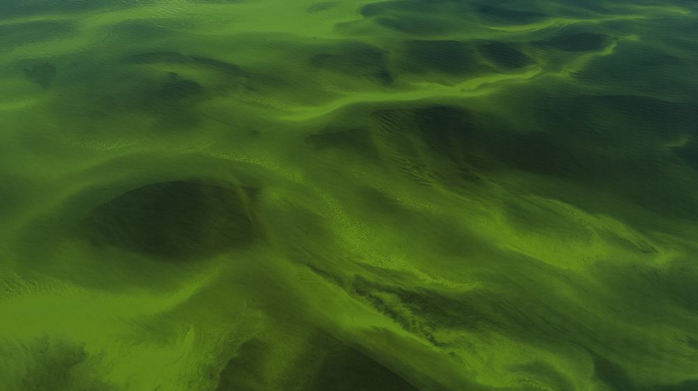 Photograph by Антон Литвинцев