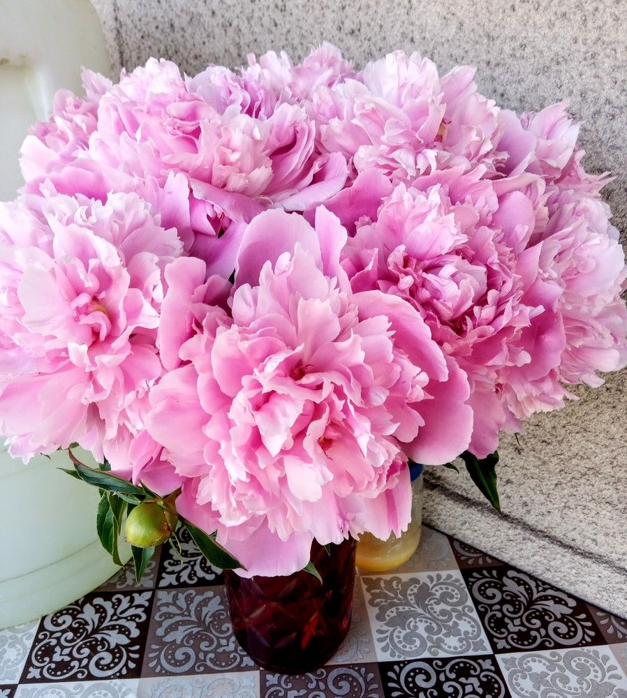 Photograph by Татьяна Пальчикова