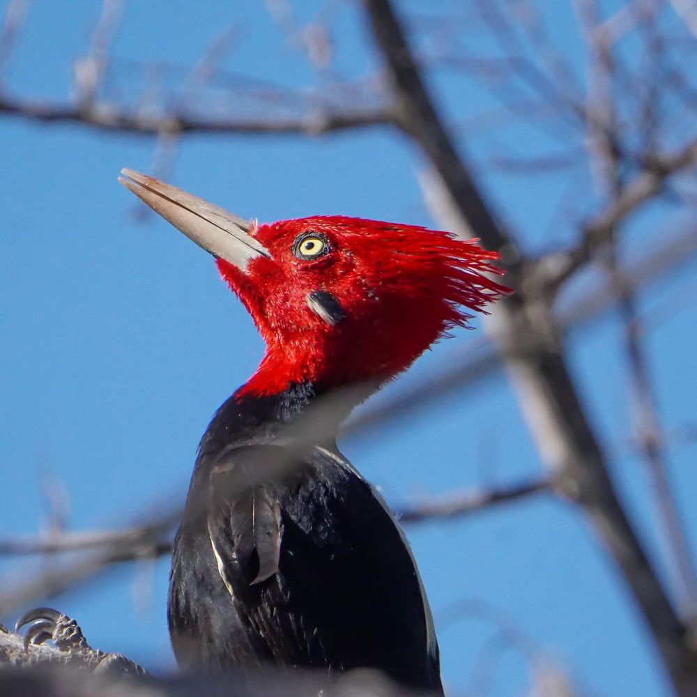 Photograph by Karina Elena Bergagna