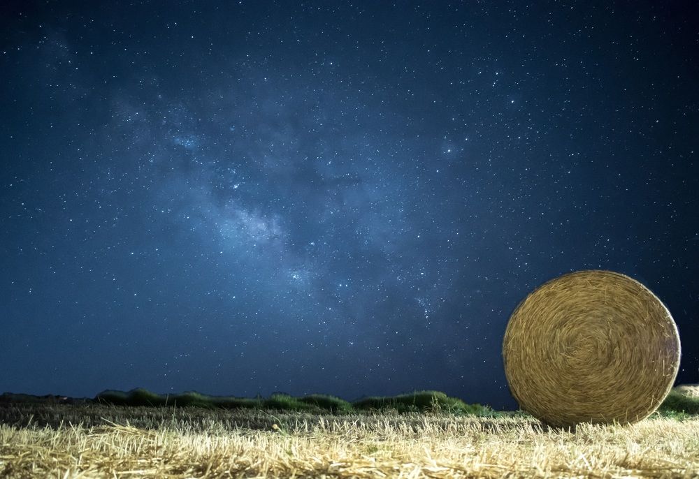 Photograph by Odysseas Christofides