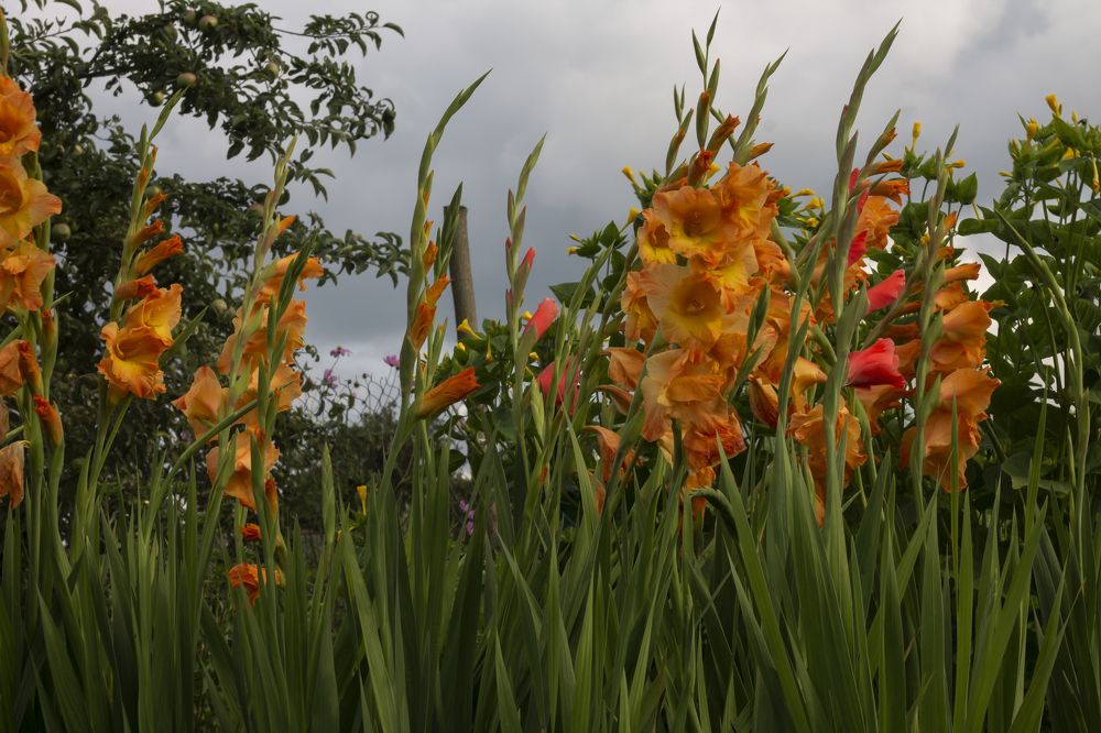 Photograph by даша ващенко