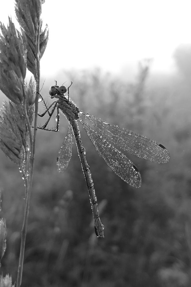 С добрым утром!