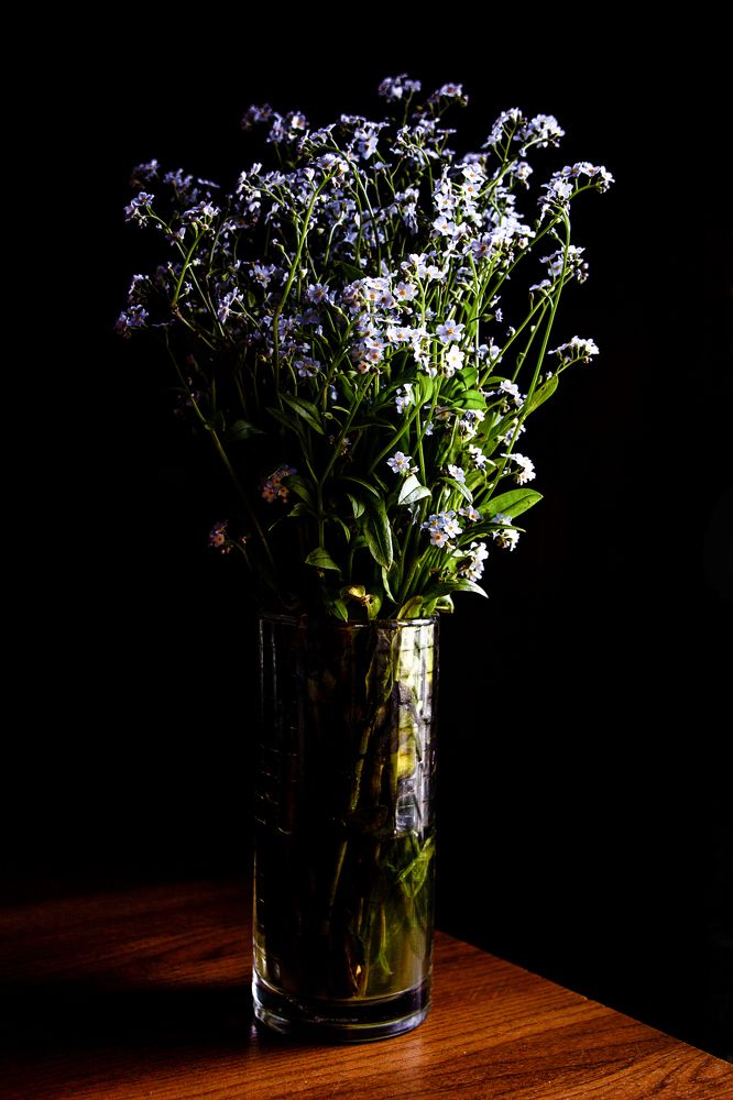 Photograph by Евгений Вяткин