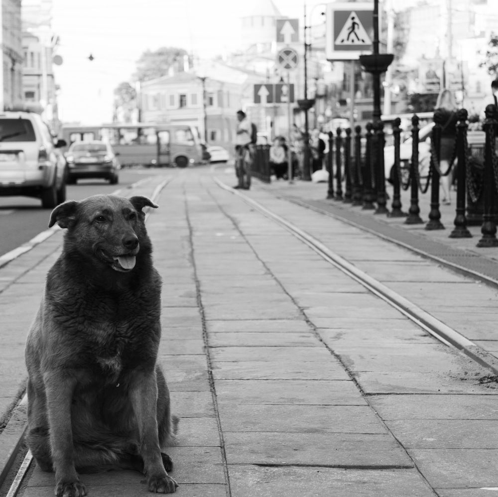 Photograph by Андрей