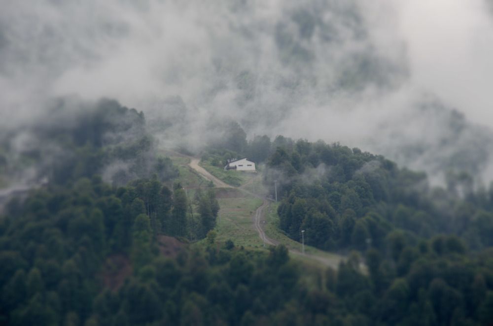 Легкие тучи тумана опустились на горную поляну