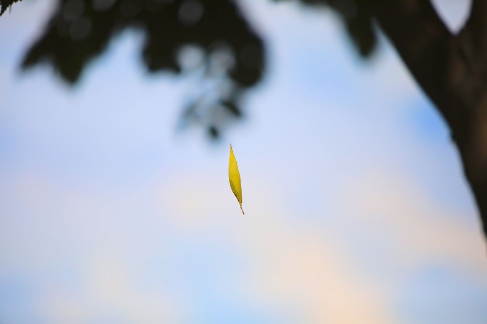 Photograph by Сергей Захаров