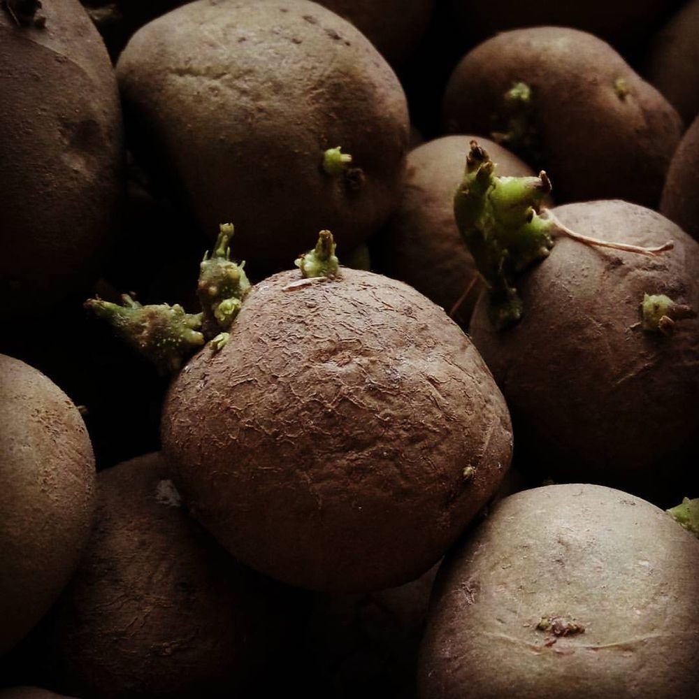 Photograph by Дзен Сергей