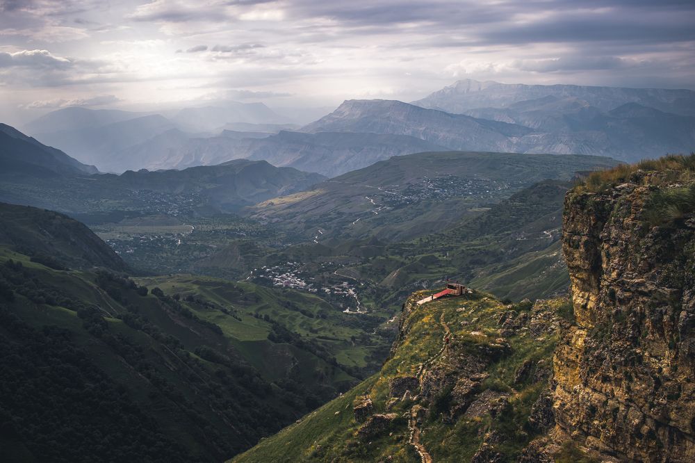 Photograph by Алина Логвиненко