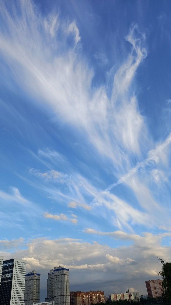 Фотография автора Maria