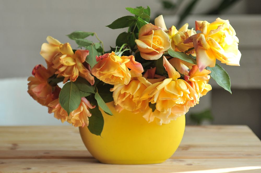 Photograph by Ольга Митина