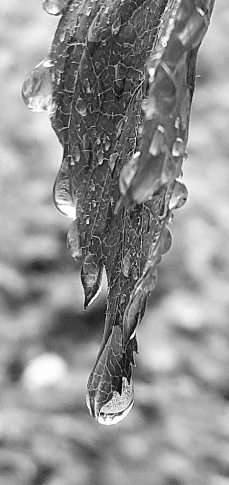 Photograph by Евгения Ульянова