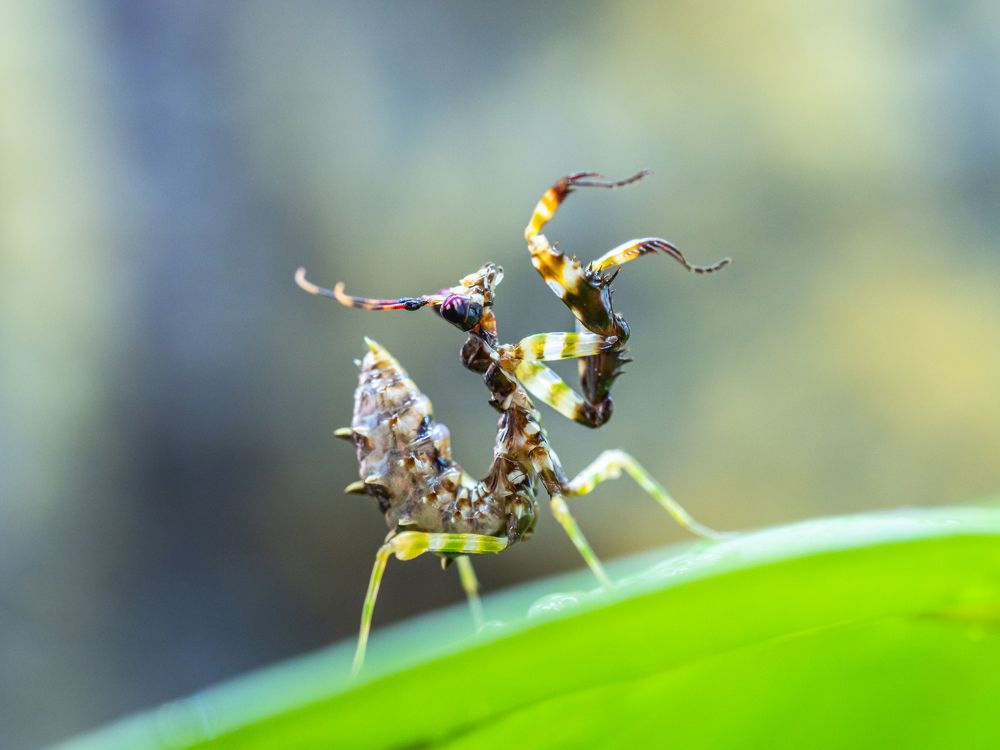 Photograph by Olga Link