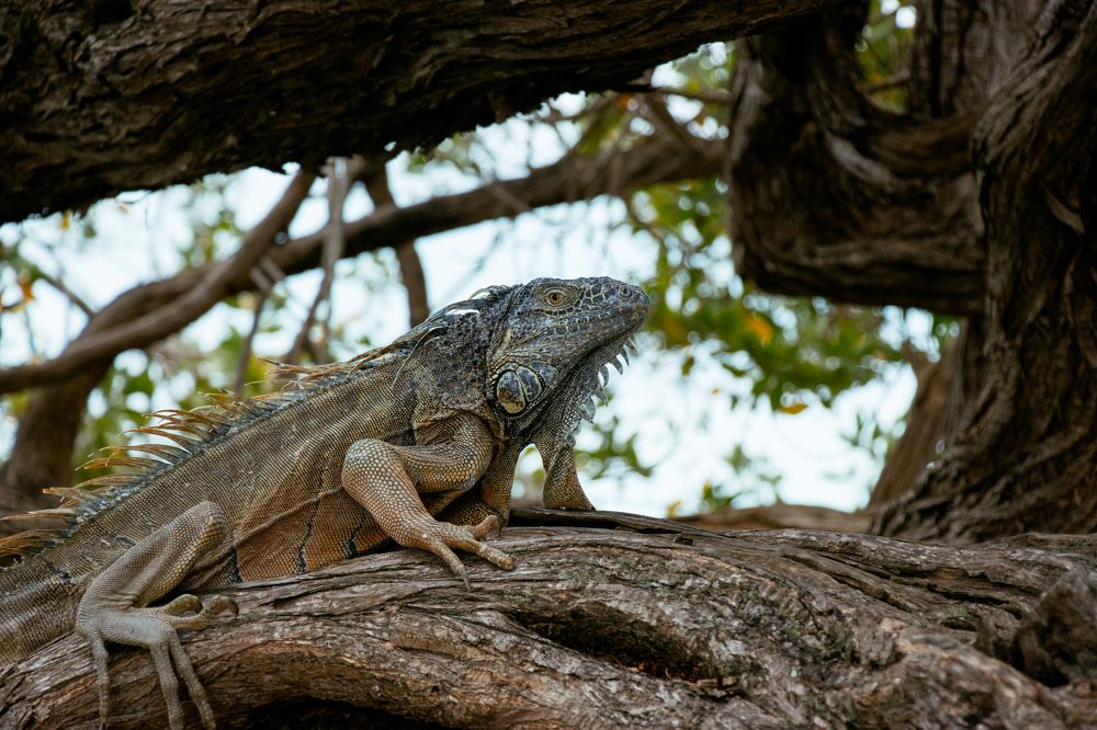 Photograph by Jaime Trejo