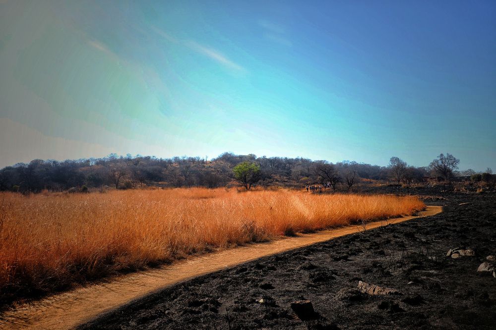 Photograph by Ntombi