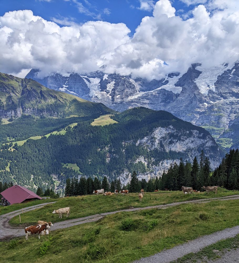 Горными тропами