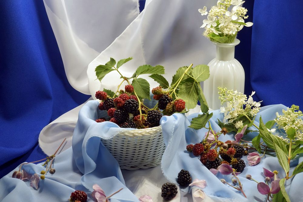 Photograph by Tatiana Glazkova