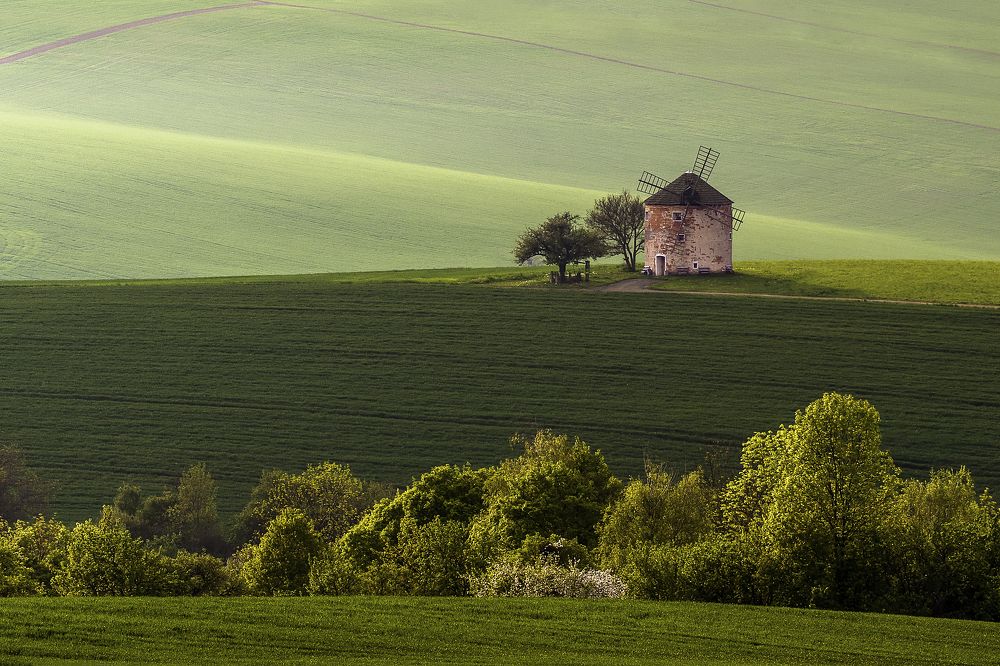 Photograph by Adrian Stanica