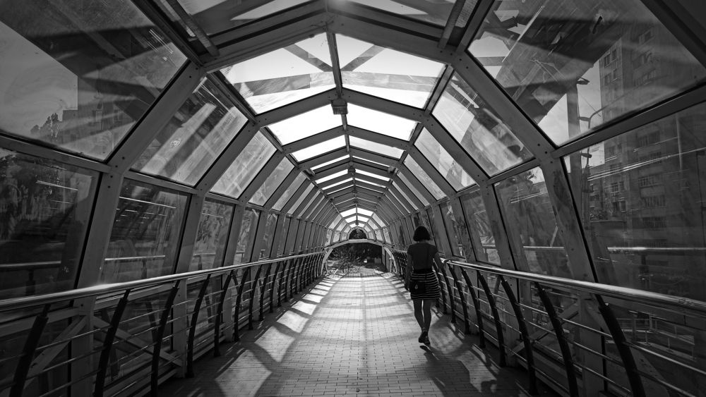 В паутине теней.