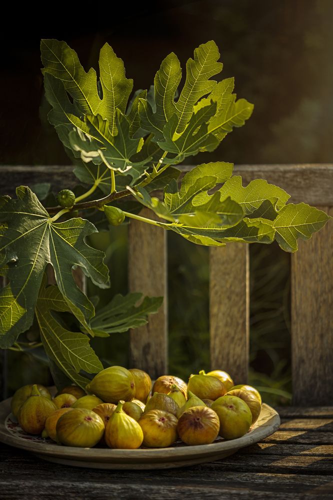 Photograph by Peter Markus