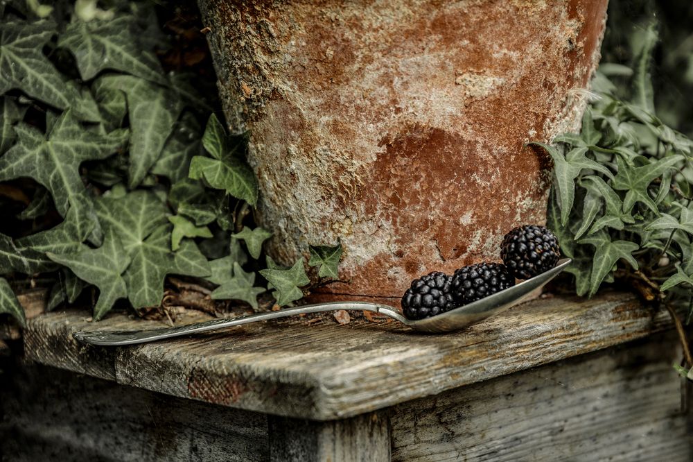 Photograph by Peter Markus