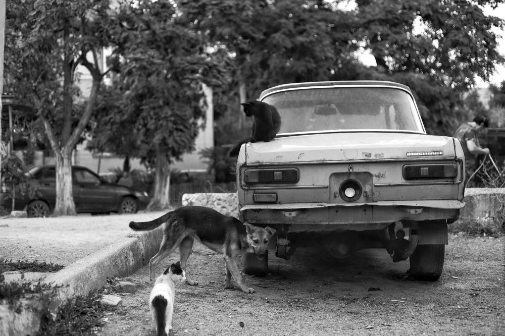 Маленький провинциальный дворик