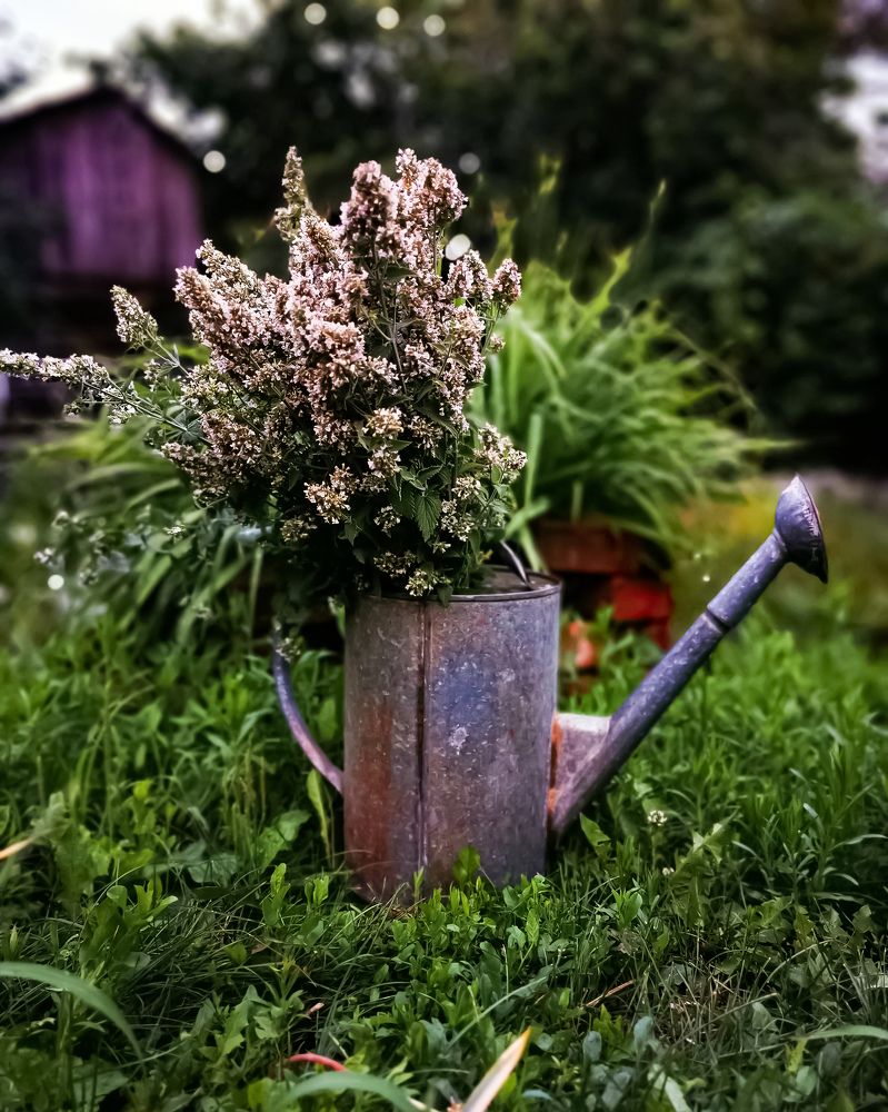 Photograph by Наталья Асоскова