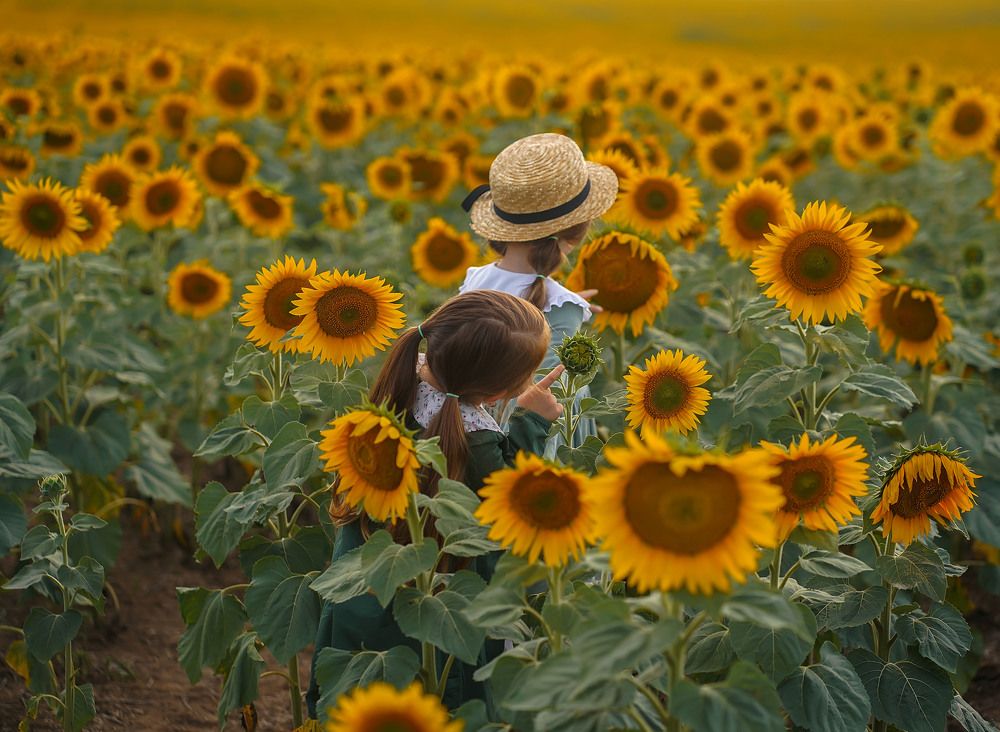 Photograph by Ольга Власкина