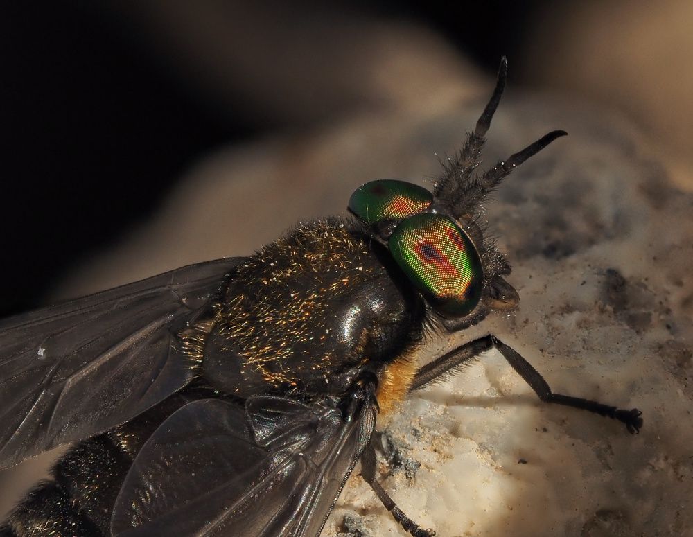 Photograph by Ирина Протченко