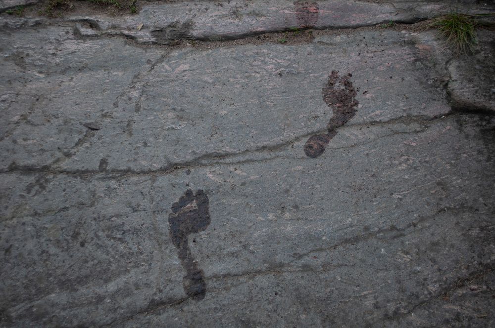 Photograph by Анастасия