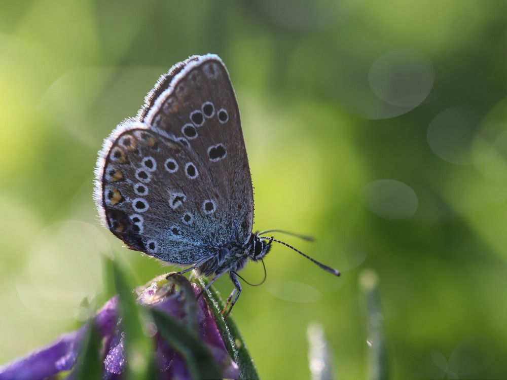 Photograph by Юлия Чиботарь