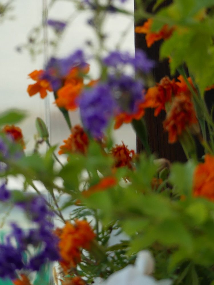 Photograph by Binyamin Waldayes