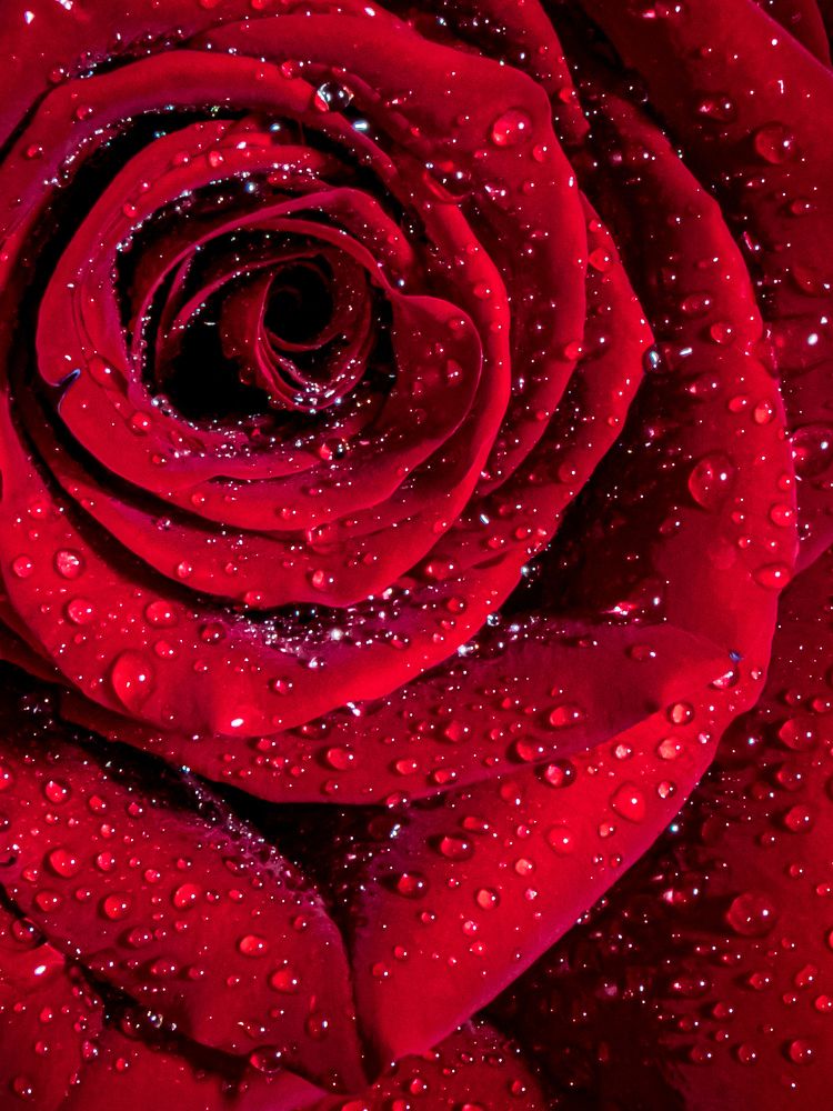 Photograph by Сергей Анатольевич