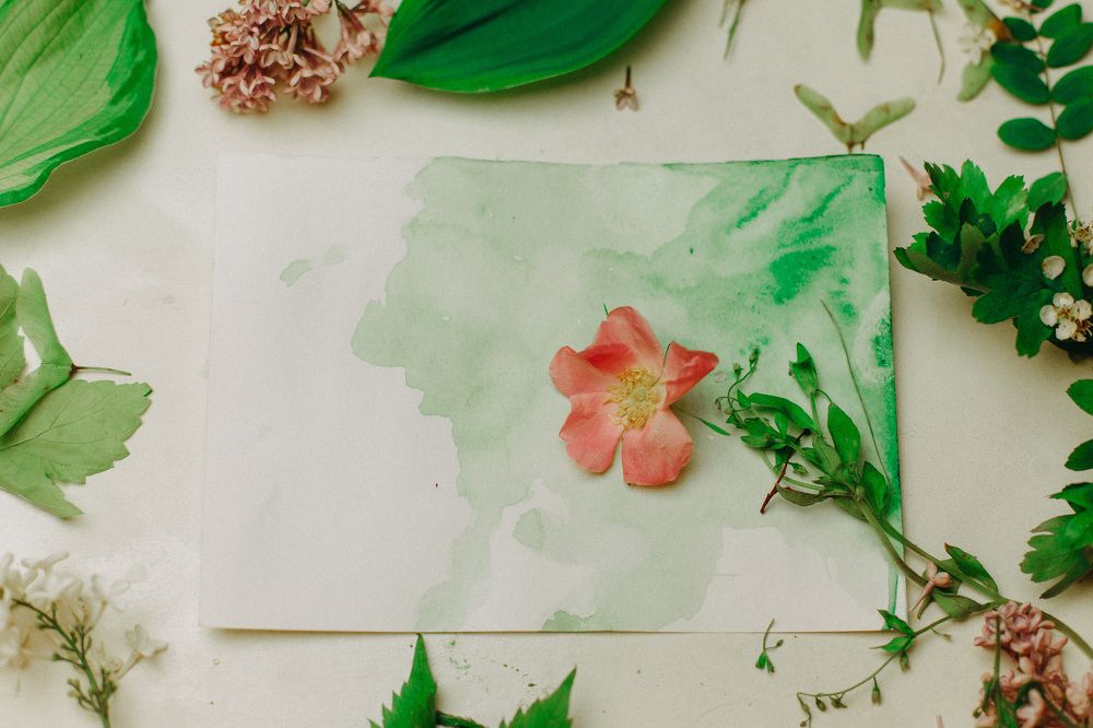 Photograph by Marie Dashkova