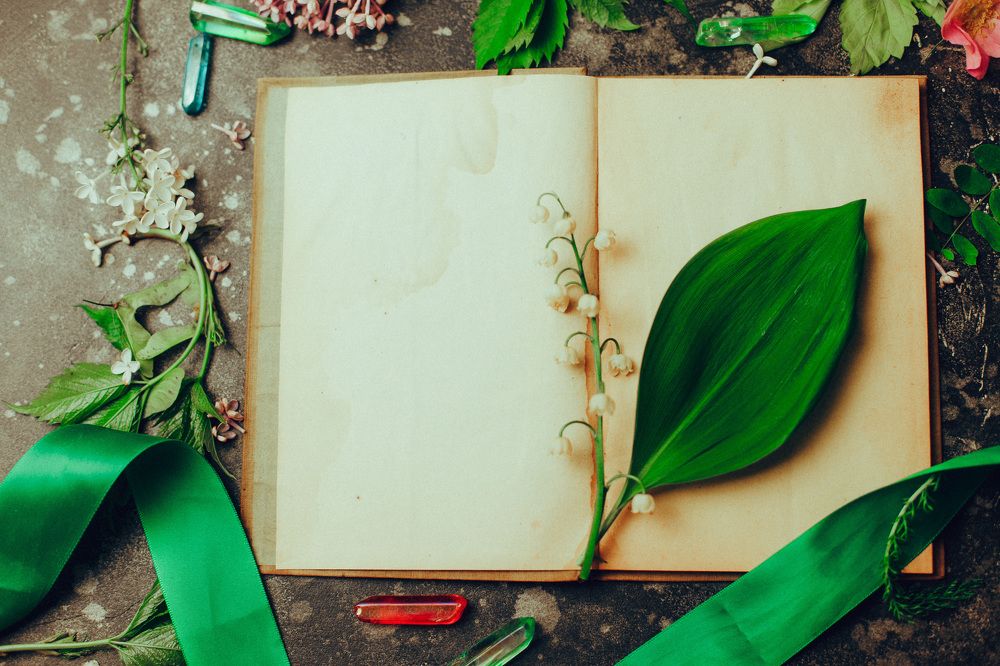 Photograph by Marie Dashkova