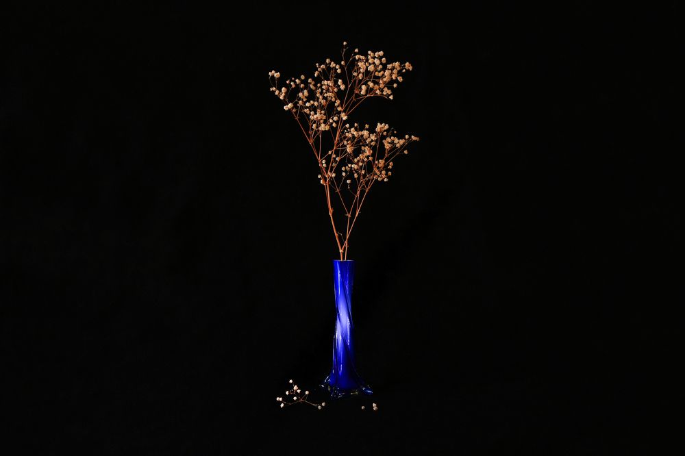 Photograph by Gonzalo Jorge Eduardo MARÓN