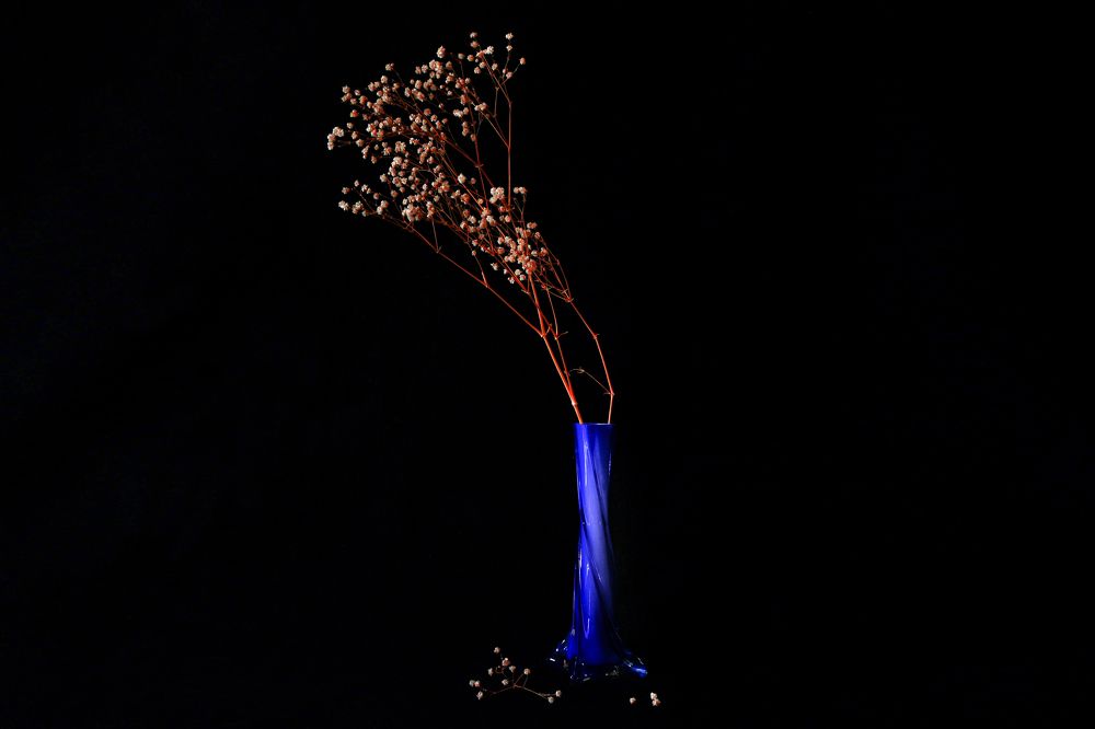 Photograph by Gonzalo Jorge Eduardo MARÓN