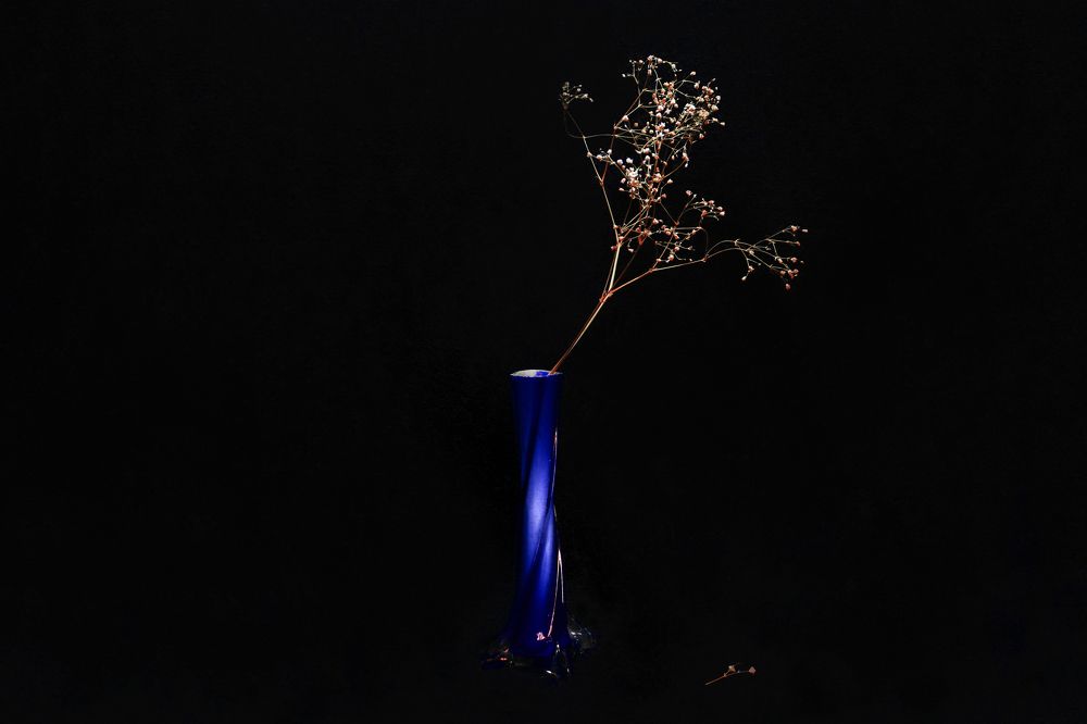 Photograph by Gonzalo Jorge Eduardo MARÓN