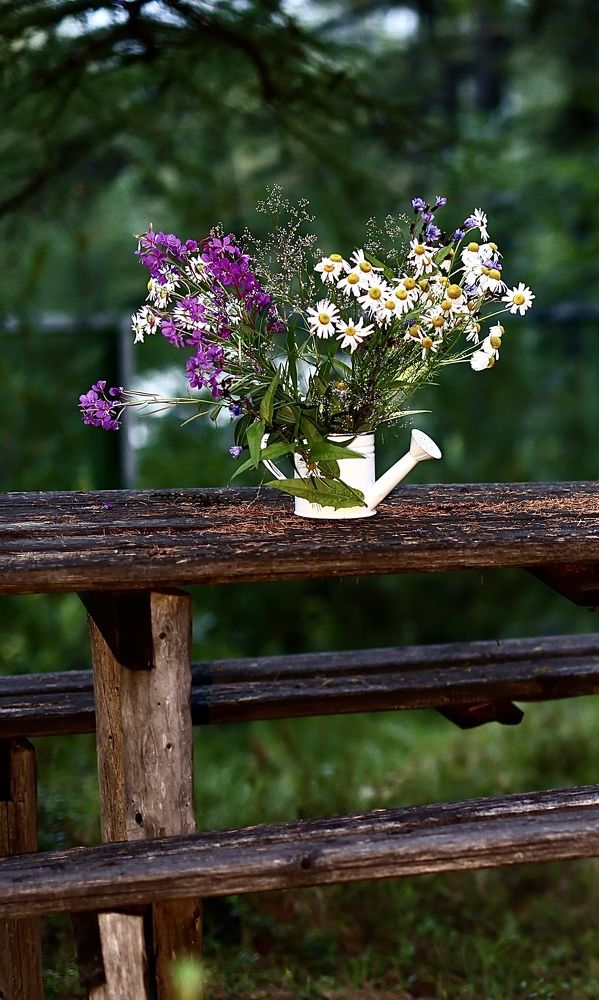 Photograph by Евгения Казакова