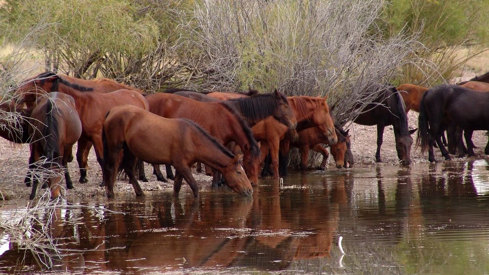 Photograph by Михаил Максимов
