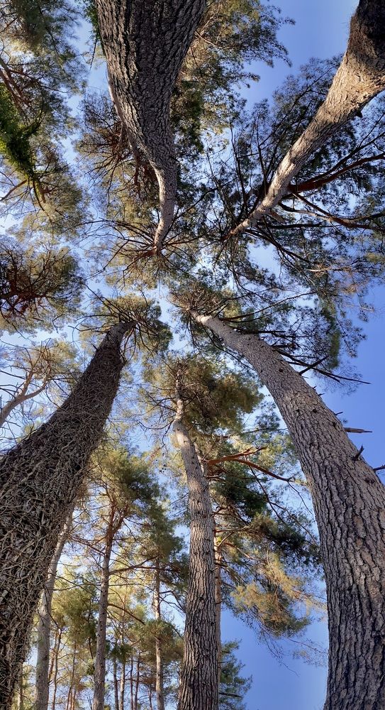 Photograph by Олег Волков