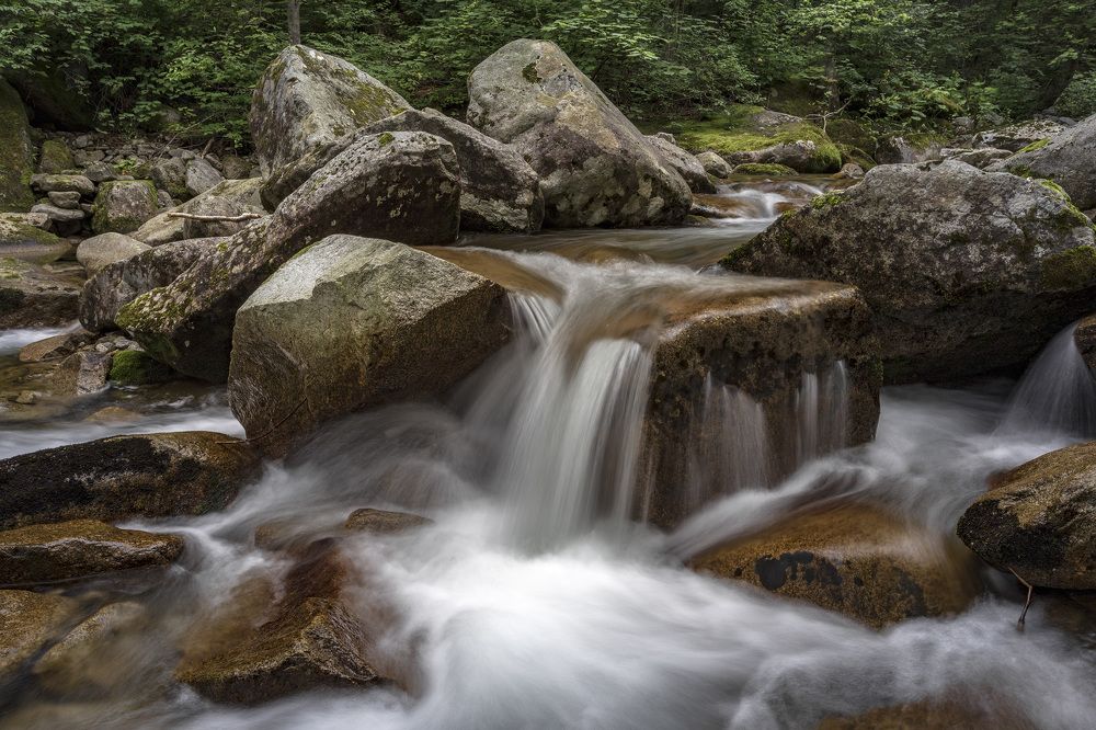 Photograph by ALEKSANDR KUZNETSOV